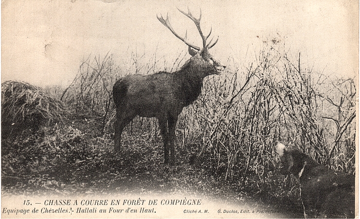 © Collection Claude Alphonse Leduc - Château de Montpoupon (Chézelles) (10)